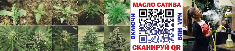 ссылка на мегу как зайти  где продают наркотики  Дно  дарк нет Telegram  Дистиллят ТГК концентрат 